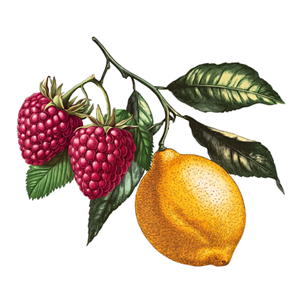 Lemon Raspberry