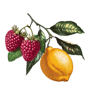 Raspberry Lemon